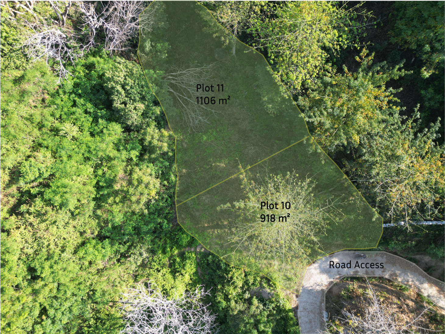 Legacy Plot